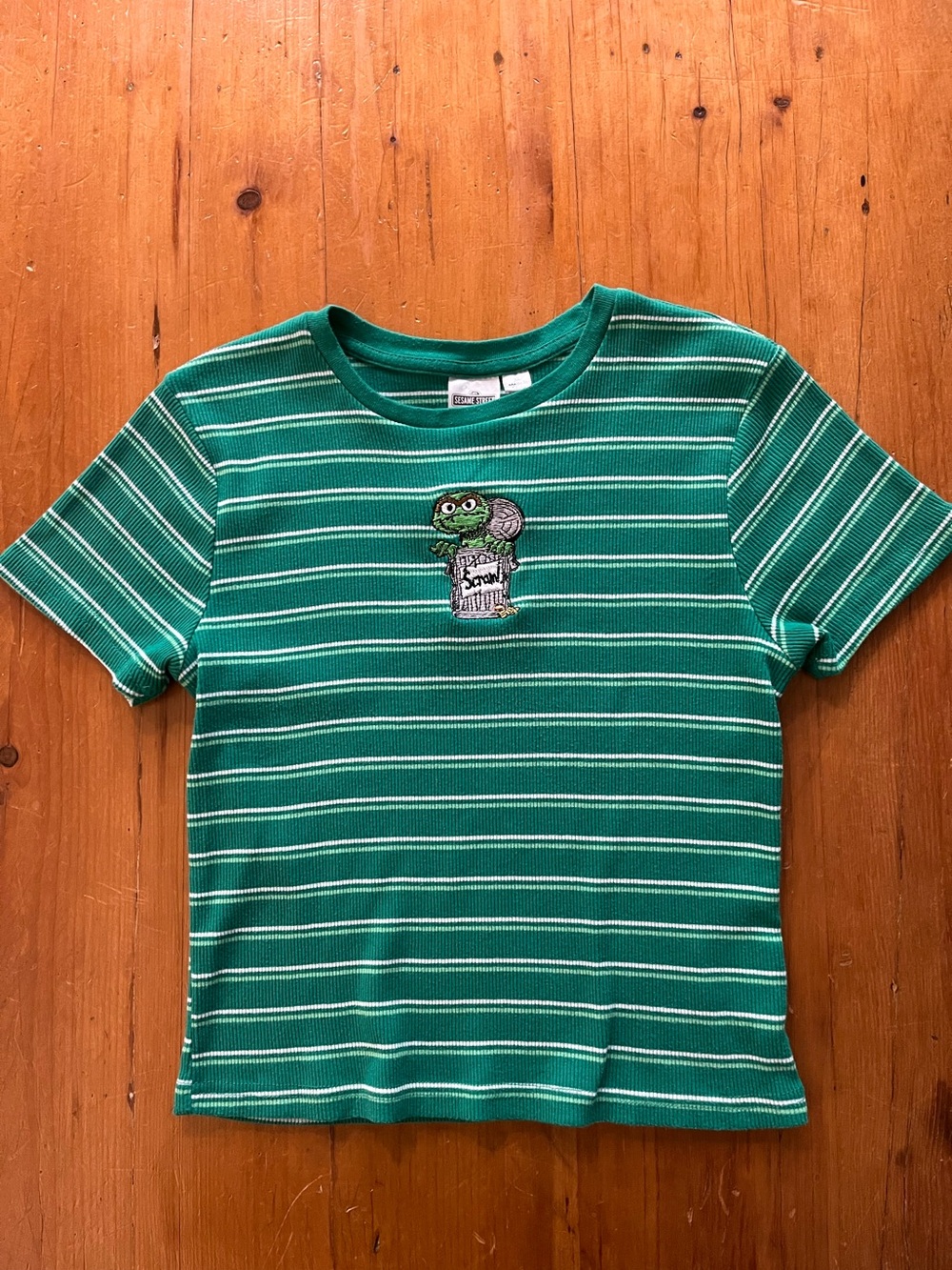 Sesame Street Oscar and Slimy Embroidered Green White Striped Ribbed Baby Tee
